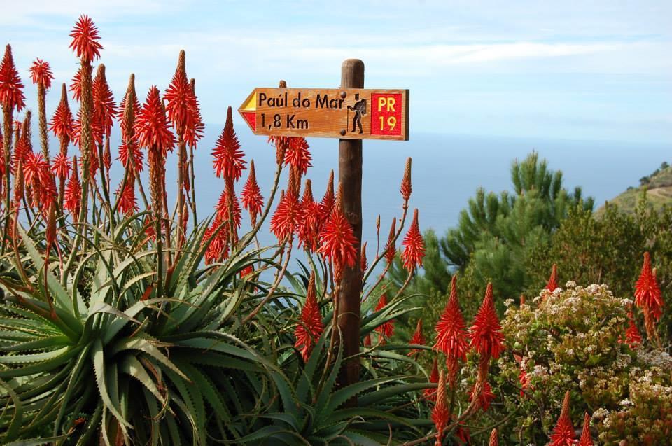 Sunny House West Beach Paul do Mar (Madeira) Exterior photo